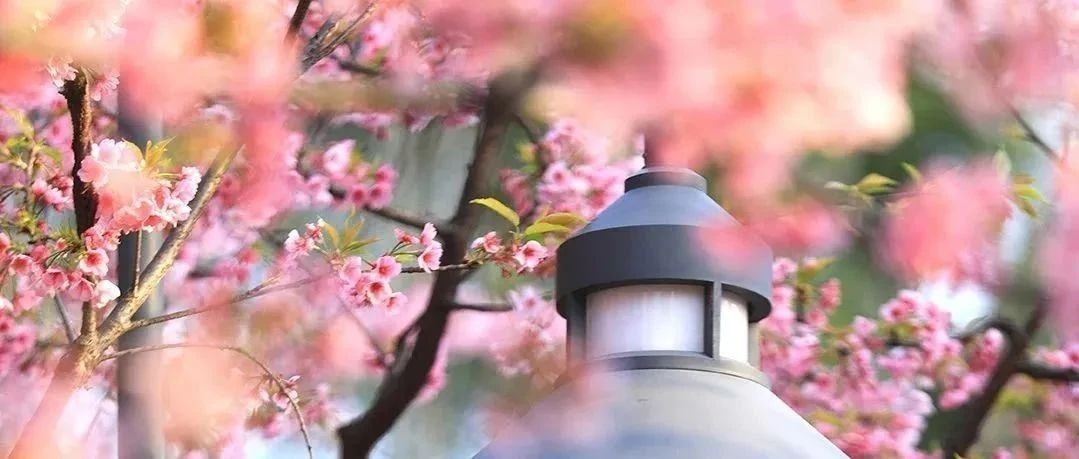 致敬了不起的她 | 眼中有光，心中有夢，世界因您而更美